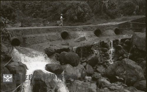 1950至2006年臺灣常民生活藏品圖，第1張