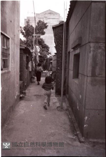 1950至2006年臺灣常民生活藏品圖，第1張