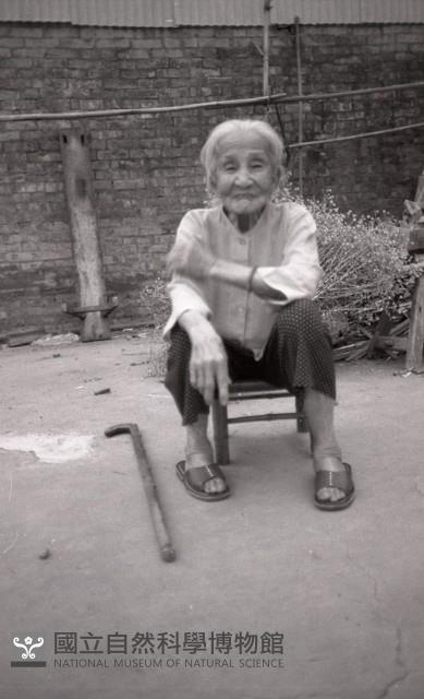 1950至2006年臺灣常民生活藏品圖，第1張