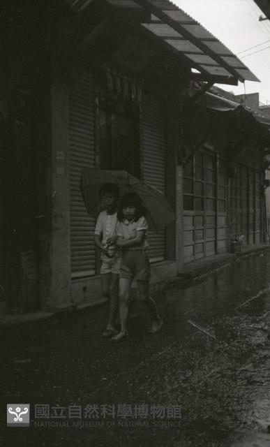 1950至2006年臺灣常民生活藏品圖，第1張