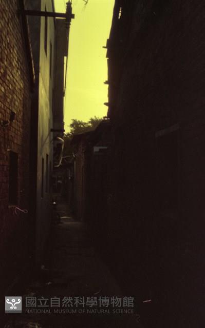 Accession Number:MP2007012717 Collection Image