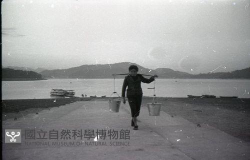 1950至2006年臺灣常民生活藏品圖，第1張