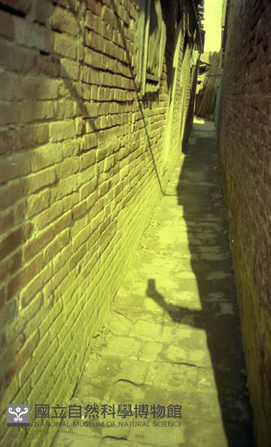 1950至2006年臺灣常民生活藏品圖，第1張