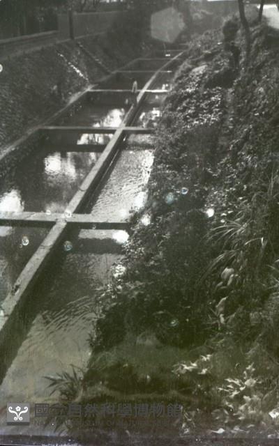 1950至2006年台灣常民生活藏品圖，第1張