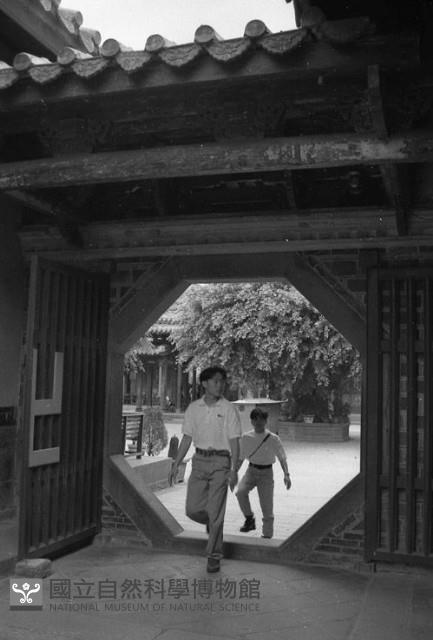 1950至2006年臺灣常民生活藏品圖，第1張