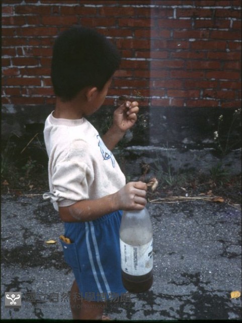 1950至2006年臺灣常民生活藏品圖，第1張