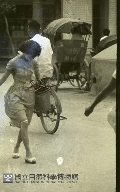 1950至2006年臺灣常民生活藏品圖，第1張