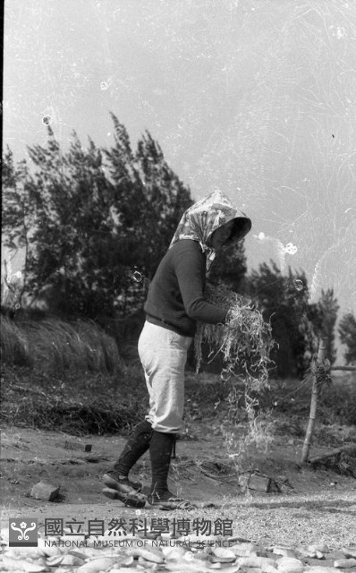 1950至2006年臺灣常民生活藏品圖，第1張