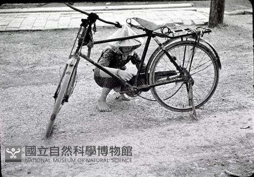 1950至2006年臺灣常民生活藏品圖，第1張