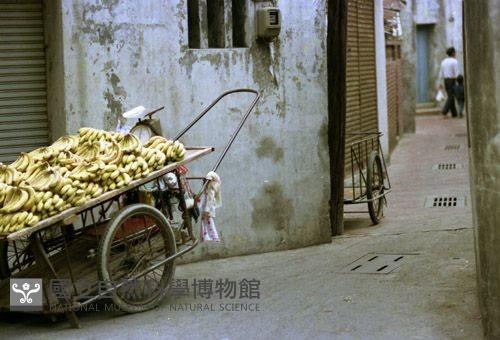 1950至2006年臺灣常民生活藏品圖，第1張