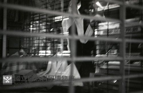 1950至2006年臺灣常民生活藏品圖，第1張