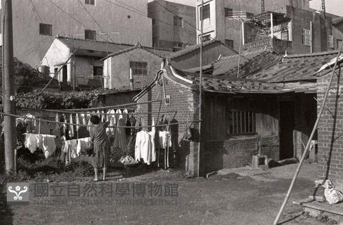 1950至2006年臺灣常民生活藏品圖，第1張