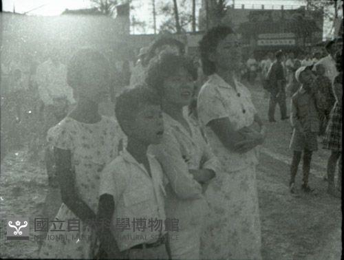 1950至2006年台灣常民生活藏品圖，第1張