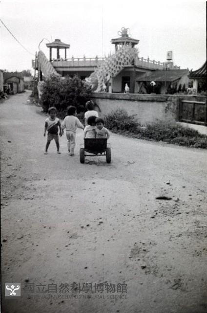 1950至2006年臺灣常民生活藏品圖，第1張