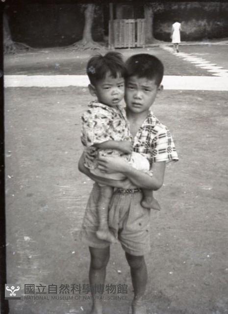 1950至2006年臺灣常民生活藏品圖，第1張
