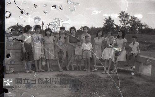 1950至2006年臺灣常民生活藏品圖，第1張