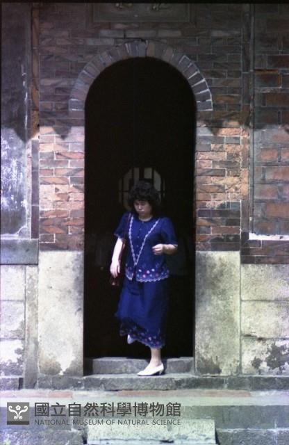 1950至2006年臺灣常民生活藏品圖，第1張