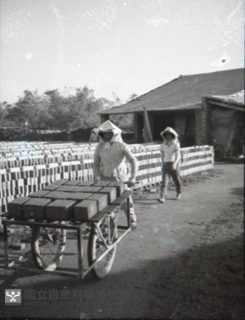 1950至2006年台灣常民生活藏品圖，第1張