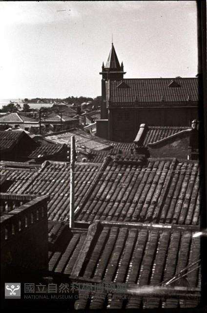 1950至2006年臺灣常民生活藏品圖，第1張