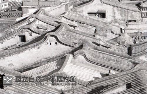 1950至2006年台灣常民生活藏品圖，第1張
