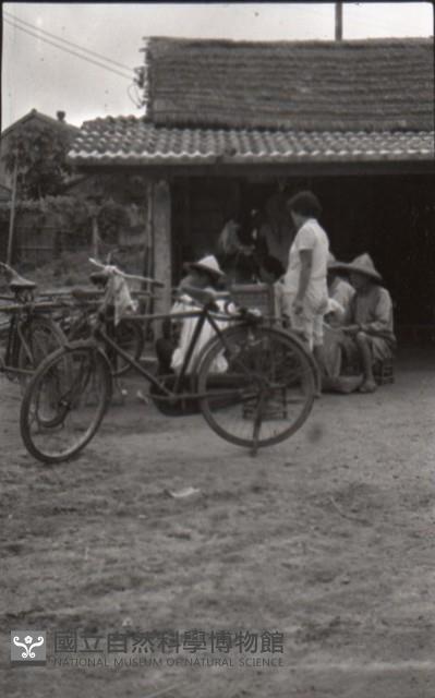 1950至2006年臺灣常民生活藏品圖，第1張