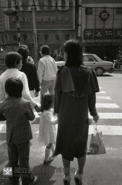 1950至2006年臺灣常民生活藏品圖，第1張