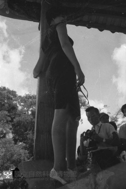 1950至2006年臺灣常民生活藏品圖，第1張
