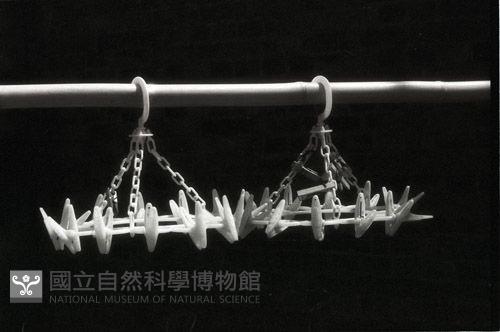 1950至2006年臺灣常民生活藏品圖，第1張