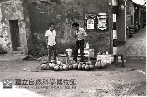 1950至2006年臺灣常民生活藏品圖，第1張