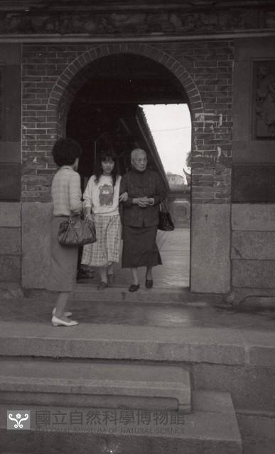 1950至2006年臺灣常民生活藏品圖，第1張