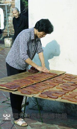 Accession Number:MP2007137227 Collection Image