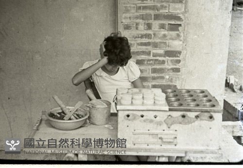 1950至2006年臺灣常民生活藏品圖，第1張