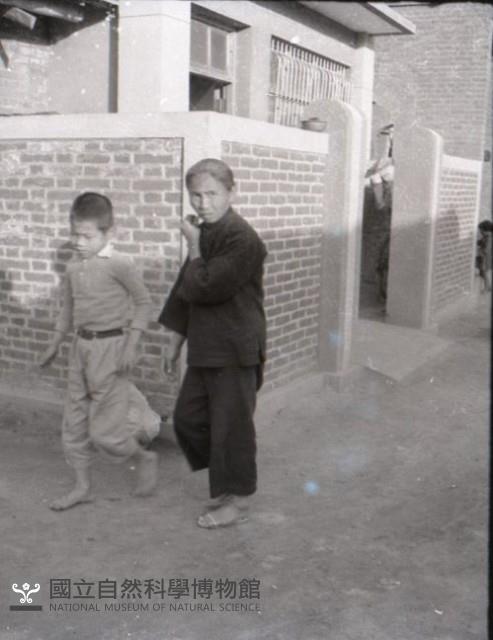 1950至2006年台灣常民生活藏品圖，第1張