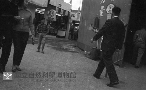 1950至2006年臺灣常民生活藏品圖，第1張