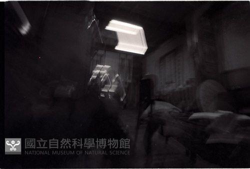 1950至2006年臺灣常民生活藏品圖，第1張