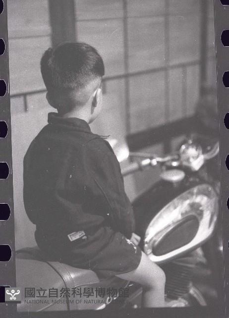 1950至2006年臺灣常民生活藏品圖，第1張