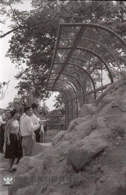 1950至2006年臺灣常民生活藏品圖，第1張