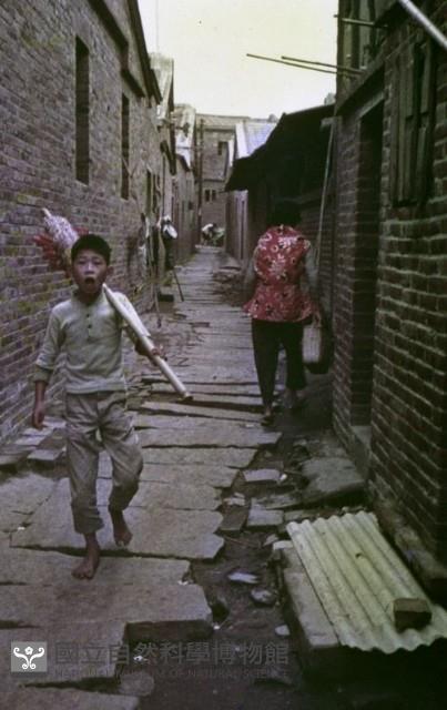 1950至2006年臺灣常民生活藏品圖，第1張