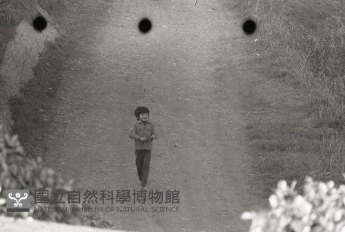 1950至2006年台灣常民生活藏品圖，第1張