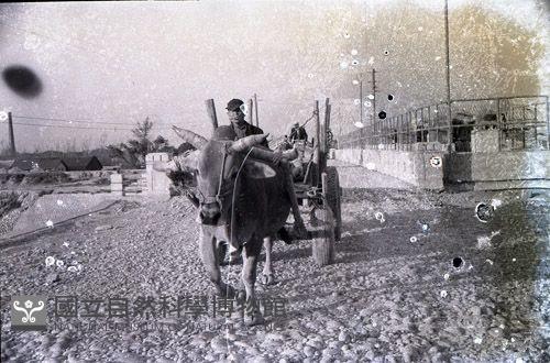 1950至2006年臺灣常民生活藏品圖，第1張