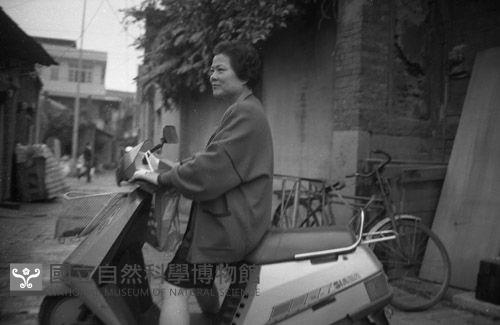 1950至2006年臺灣常民生活藏品圖，第1張