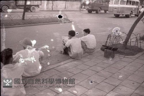 1950至2006年臺灣常民生活藏品圖，第1張