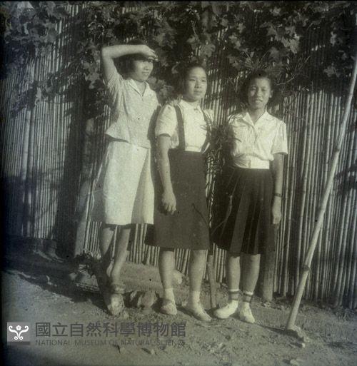 1950至2006年臺灣常民生活藏品圖，第1張