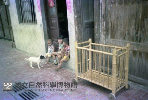 1950至2006年臺灣常民生活藏品圖，第1張