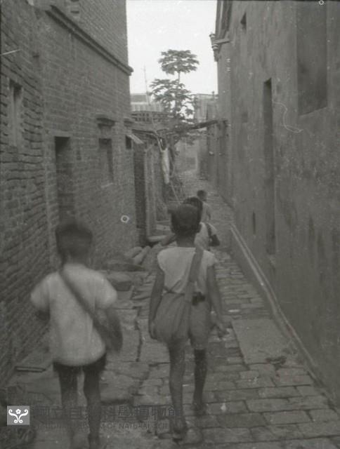 1950至2006年台灣常民生活藏品圖，第1張