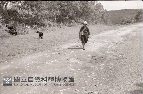 1950至2006年臺灣常民生活藏品圖，第1張