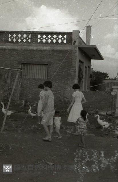 1950至2006年臺灣常民生活藏品圖，第1張