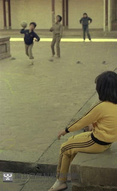 1950至2006年臺灣常民生活藏品圖，第1張