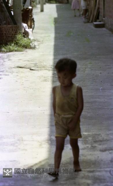1950至2006年臺灣常民生活藏品圖，第1張