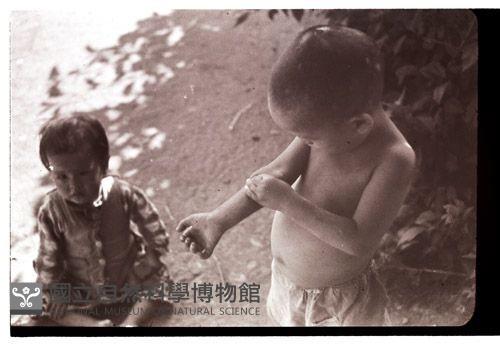 1950至2006年臺灣常民生活藏品圖，第1張